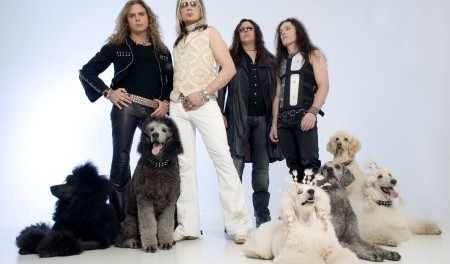 the poodles 1 04-07